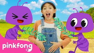 La Hormiguita | Fui al Mercado | Pinkfong ¡Baila, Baila! | Canciones Infantiles