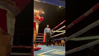 Zurdo Ramirez FINISHES Boesel