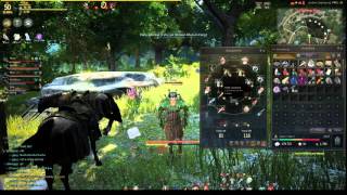 Black Desert Online - Quick Slots Guide