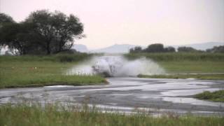 Ven y Vive Bridgestone