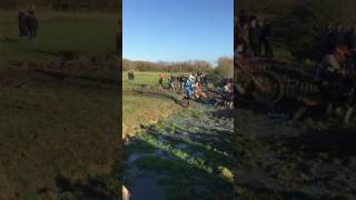 Wild Woolly 2016 - Video 03