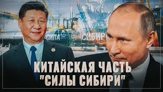 Свидетели секты "конца Газпрома" несут ахинею. Как Китай «отказывается» от российского газа