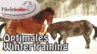 Winterzeit: So vermeidest Du Sehnen- und Muskelprobleme & Arthrose