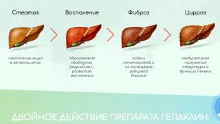 Обзор Гепаклин: отзывы, инструкция, цена