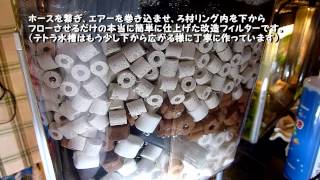 【初めてのアクアリウム立ち上げ】改造・外掛け式フィルター紹介など
