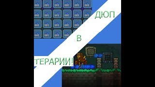 Дюп в Террарии | Новый баг на дюп в Террарии! (#1)