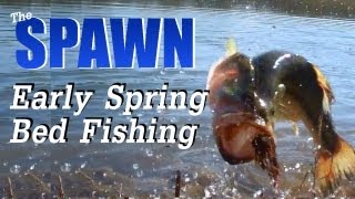 Early Spawn Bed Fishing (Hat Cam Bass)