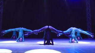 Strip plastic | Slytherin | Panaeva strip group