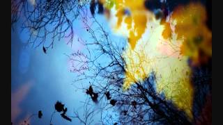 Bauri - Fling