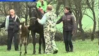 "Татьянин хутор" на т/к "Интер", программа "Подробности"