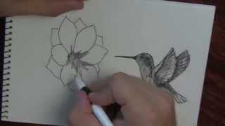 Как рисовать цветок и птичку колибри. Hand drawn hummingbird