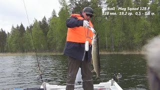 Размышления о воблере на щуку - Mag Squad от Jackall