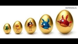 Что делать если при выводе денег пишет ошибка Code #2 - Rich Birds