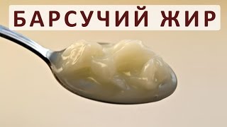 Барсучий жир: польза и вред при сахарном диабете