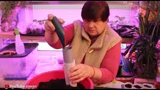 УНИВЕРСАЛЬНЫЕ СТАКАНЧИКИ ДЛЯ РАССАДЫ СВОИМИ РУКАМИ.