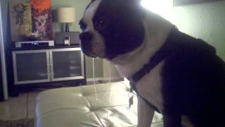Thermos epic drool