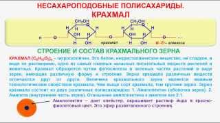 № 143. Органическая химия. Тема 21. Углеводы. Часть 17. Несахароподобные полисахариды. Крахмал
