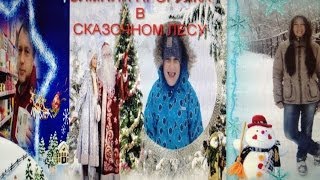 Зимняя прогулка в сказочном лесу. 8 декабря 2013 г