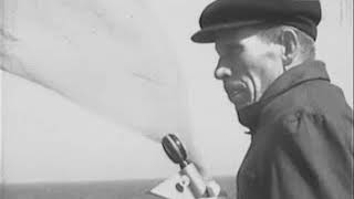 На поиски рыбных богатств,Литовская киностудия,док.фильм.1956 год.