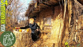 Осенний день в Избушке у ручья ???? Бушкрафт в Избе из камыша - Серия 54