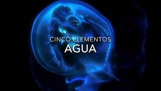 Sonidos de cuencos tibetanos - los cinco elementos - Agua