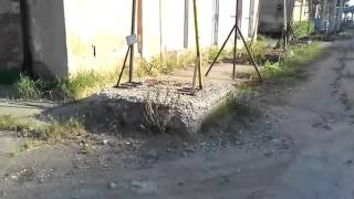 Самые талантливые люди в мире