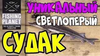 Fishing Planet Прохождение | Уникальный Судак | Мичиган, озеро Сент-Круа | 2016