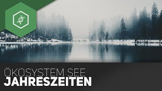 Ökosystem See - Jahreszeiten ● Gehe auf SIMPLECLUB.DE/GO & werde #EinserSchüler