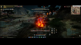 BDO Bashims 60 Wizard GQ 201/211/295
