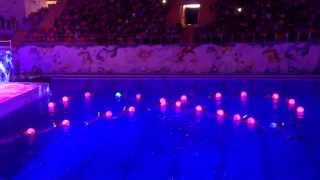 Show Страна снов Maria Kiseleva