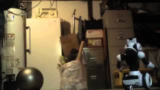 wowwee robome roaming crapy video