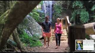Discover Tamborine Mountain - The Green behind the Gold