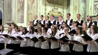 INTERKULTUR Report: In...Canto sul Gard 2011 - Károlyi Mihály Gimnázium Kórusa (H)