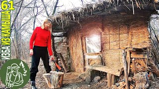 Ранняя весна в Избушке: фазаны, мясо с овощами ???? Бушкрафт в Избе из камыша - Серия 61