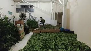 Готовый фасовочно-упаковочный бизнес под ключ в Сочи