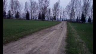 RC CEN Matrix RTR Buggy TestDrive