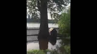 Странные люди, думает пу#ло будет о них думать))) Зовут на помощь и никто не приезжает) г. Тулун