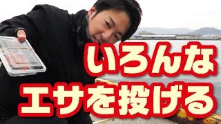 【釣り】投げ釣りでいろんな虫エサを試すの巻