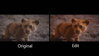 The Lion King CGI Trailer #2 Saturation Edit