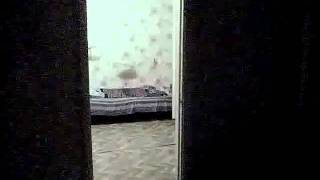 мой сосед украл картошку