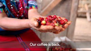 The Coffee Trust ∣ Our Coffee is Back!