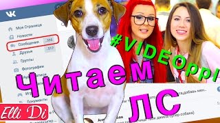 ЧИТАЕМ ЛИЧКУ ЭЛЛИ ДИ - VIDEOPPL 2016 ФЕСТИВАЛЬ ВИДЕОБЛОГЕРОВ | Elli Di Собаки