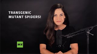 Scientists have created bizarre mutant spiders