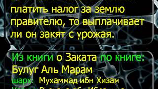 1640 Если человек обязан платить налог за землю правителю, то выплачивает ли он закят с урожая
