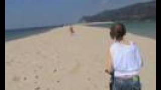 Praia da Figueirinha -Portugal . Portinho da Arrabida
