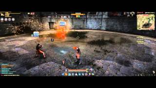 Black Desert пвп арена кунаичи тамер валькирия воин
