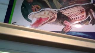 MIAMI - Le shop des Everglades