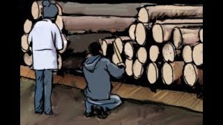 Рассчитываем экономику лесопилки исходя из сортности