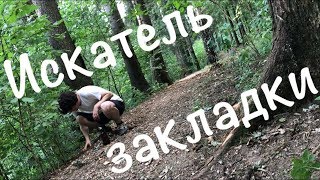Закладка в лесу
