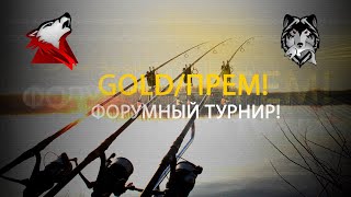 Русская Рыбалка 4! Russian Fishing 4! Форумный турнир! Голд прем!